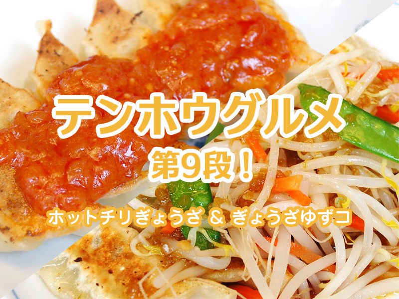 テンホウグルメ第9弾!